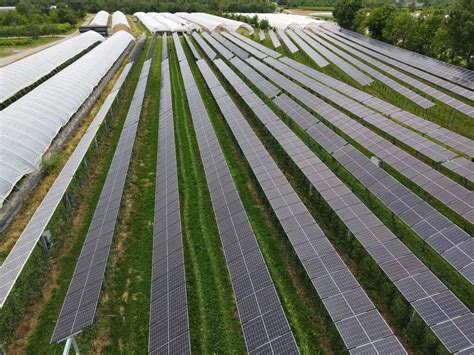 Beere trifft Photovoltaik Größte Agri PV Anlage im Obstbau eröffnet