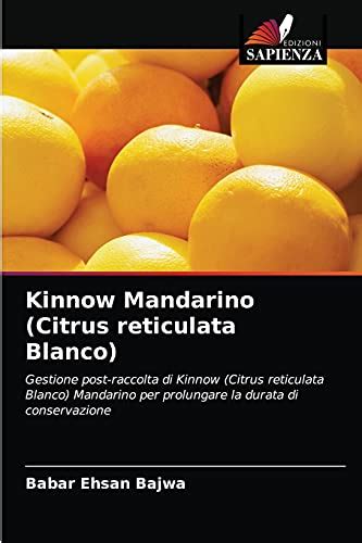 Kinnow Mandarino Citrus Reticulata Blanco Gestione Post Raccolta Di