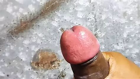 Vedhika Hot Cumtribute Xhamster