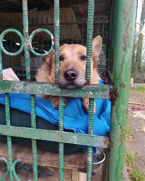 Stowarzyszenie - Od 3 lat czeka… I wciąż nikt go nie zauważył. Junior
