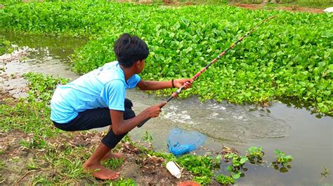 Hook Fishing Traditional Hook Fishing Mr Fishing Life Part 298