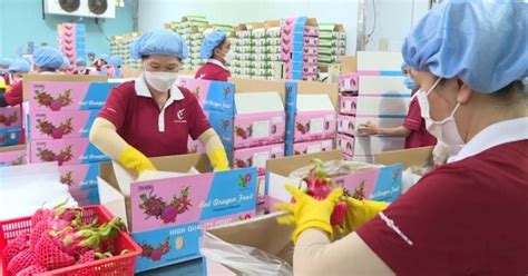 Doanh nghiệp rau quả bước vào cuộc chiến gay gắt