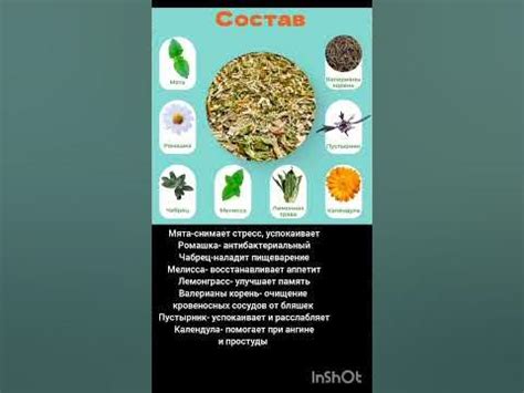 Травяной чай на основе зелёного чая ( от простуды и бессонницы ...