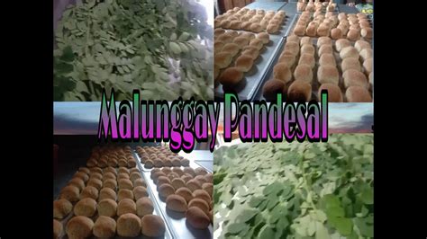 Paano Nga Ba Gumawa Ng MALUNGGAY PANDESAL Gamit Fresh Malunggay