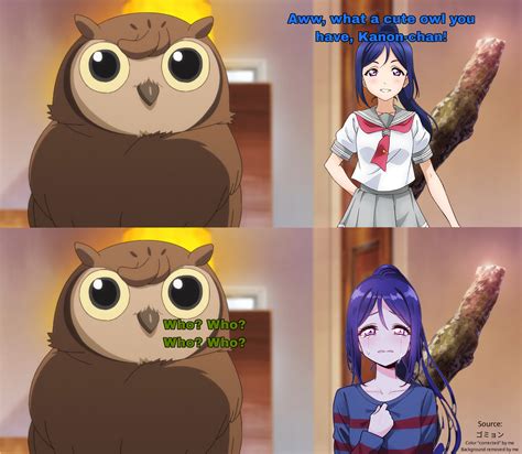 Manmaru The Amazing Speaking Owl But Only When Kanan Is Around R Otonokizaka