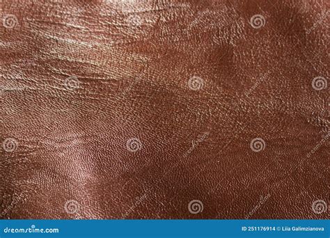 Brown Leather Texture Stock Photo Image Of Cover Black 251176914