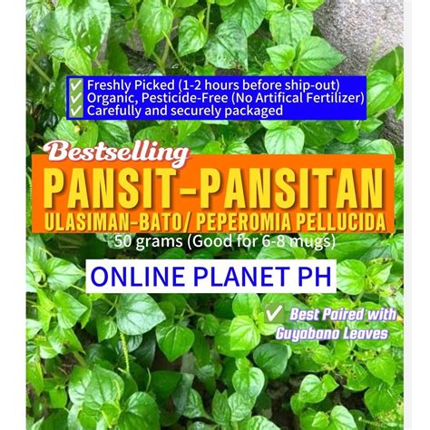pansit pansitan   garden  gms shopee philippines