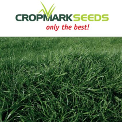 Festulolium – Seeds & Cereals (2000) Ltd