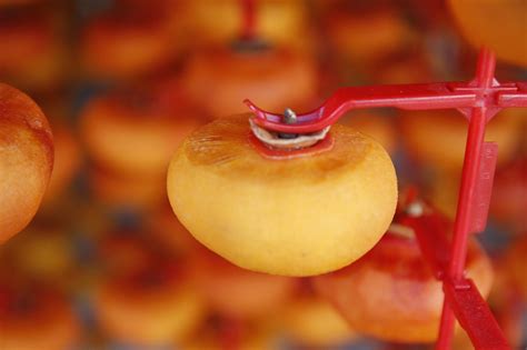 Dried Persimmon Haman Free Photo On Pixabay Pixabay