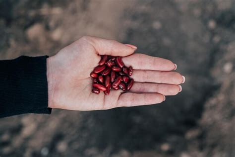 Premium Photo A Hand Holding Pomegranate Seeds In The Palm Of A Hand