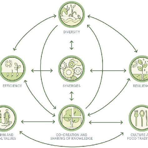 Pdf The Elements Of Agroecology Enabling Transitions Towards