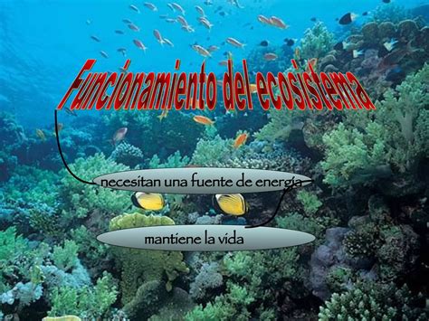 Ecosistemas Ppt Descarga Gratuita