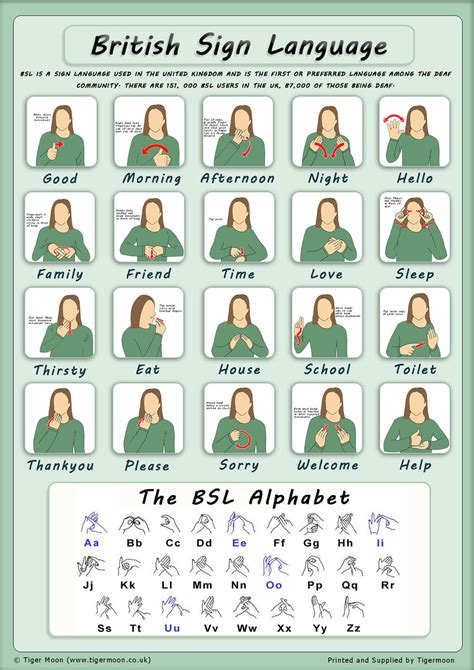 British Sign Language Basic Sign And Alphabet Poster Paper Laminat Tiger Moon