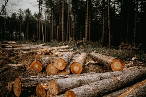 ideas    conserve natural resources green coast