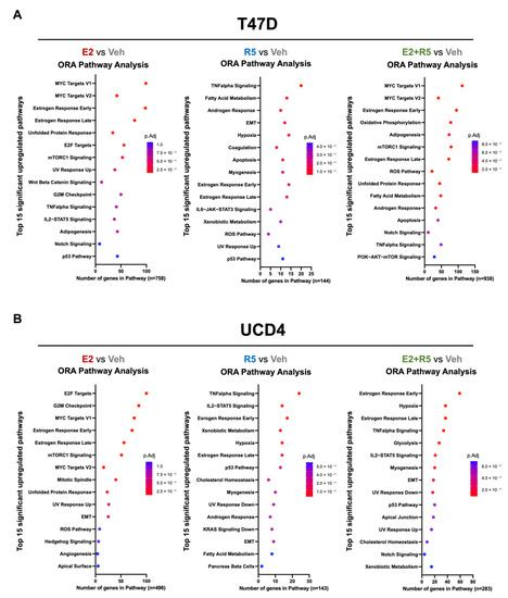 Cancers Free Full Text Estrogens And Progestins Cooperatively Shift