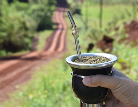 el mate cumple una decada como infusion nacional