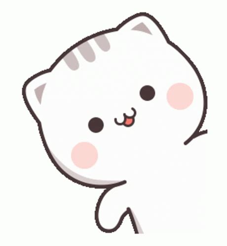 sticker    discover share gifs cutie cat