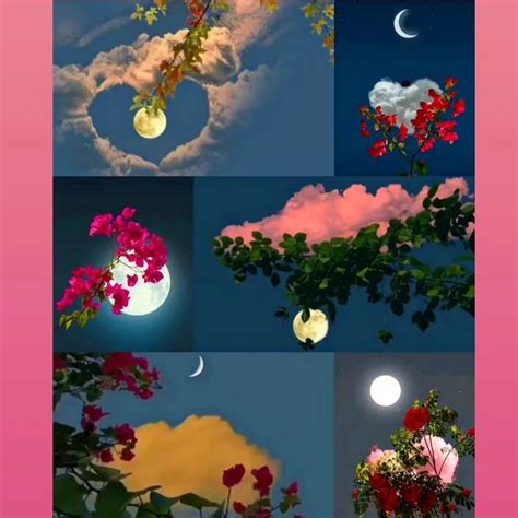 Myphotos Myhappymoments Myinstagram 😘😻💫🦋💕🎶🥰