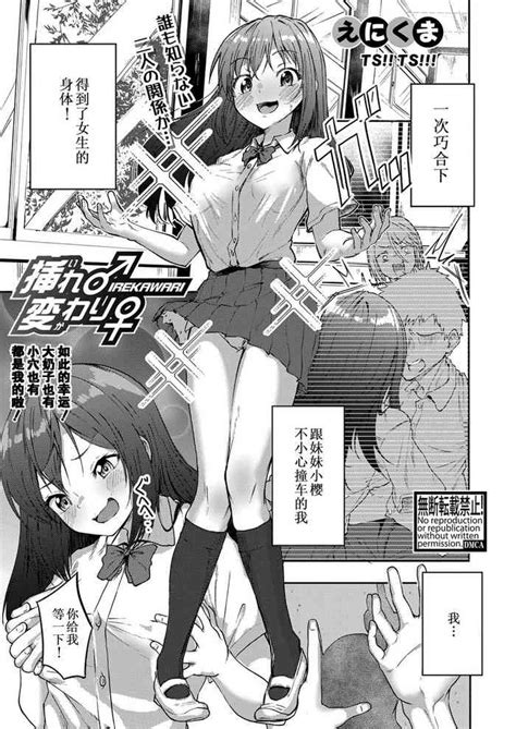 IREKAWARI Nhentai Hentai Doujinshi And Manga