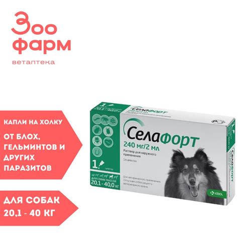 Селафорт для собак 240 мг от 20 до 40 кг, 1 пипетка - купить с ...