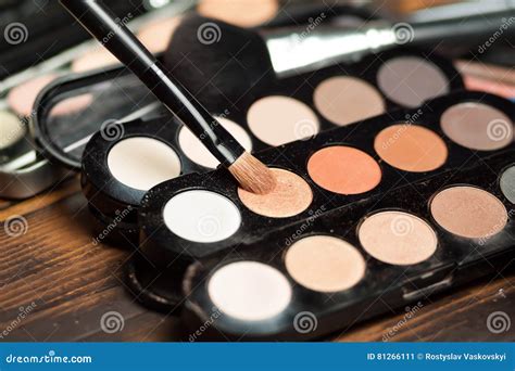 Paletas Do Nude Da Sombra Imagem De Stock Imagem De Produtos