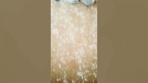 Соник и Виктор тот который серый - YouTube