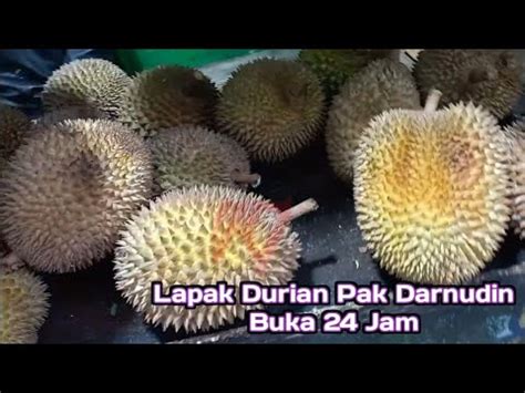 BUKA 24 JAM NIKMATI DURIAN KAPANPUN JAM BERAPAPUN DILAPAK PAK DARNUDIN