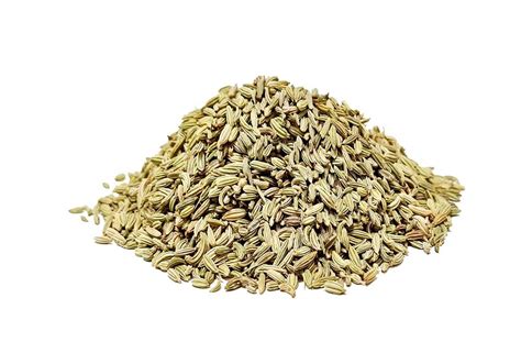 Grand Funnel Seeds