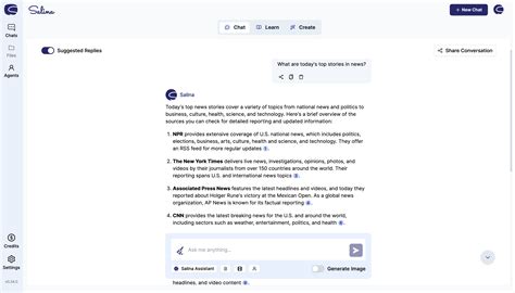 How to Websearch - Salina
