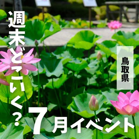 仮装・コスプレ大歓迎！みんなで盛り上げる「第11回倉吉ばえん祭」が2023年10月15日（日）に開催されます｜倉吉市 とっとりずむ