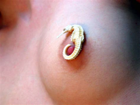 Ronin S Amateurs Canadian Amateurs By Ronin Nude Album Intporn Forums