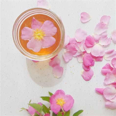 DIY Rose Water Recipe - Out by the door