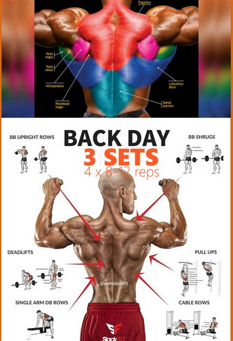 Zikka S Remembrance Build An Incredible Back With This Minute Workout