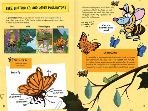 Nature Cat: Backyard Explorer's Guide - little bee books