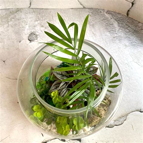 Флорариум тропический в интерьерной бутыли в интернет-магазине Ярмарка ...