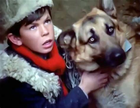 Одинокий волк (1972) — Фильм.ру