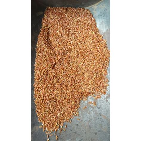 Organic Red Rice Loose At Rs 80kg In Kanpur Id 2851563651248