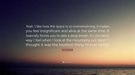 Carley Fortune Quote: “Yeah. I like how the space is so overwhelming ...