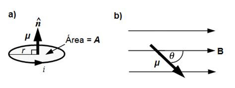 A Momento De Dipolo Formado Por Uma Espira Transportando Corrente I