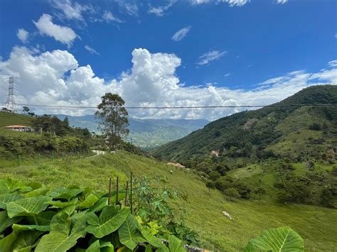 Fao Colombia On Twitter Rt Adr Colombia A La Vereda De La Montanera