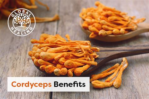 Cordyceps Fungus Top 7 Benefits Of This Miracle Mushroom Dr Eddy