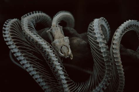 Stunning photography by anna (aka vacantia)