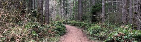 Banner Forest Heritage Park Loop 424 Fotos Washington Wandelen