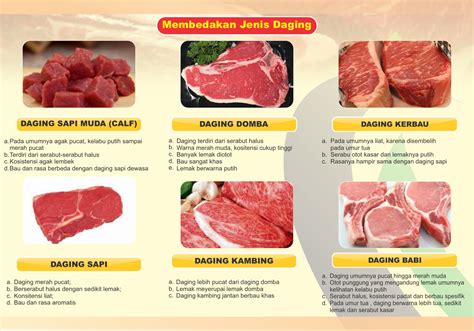 ide  jenis jenis daging sapi