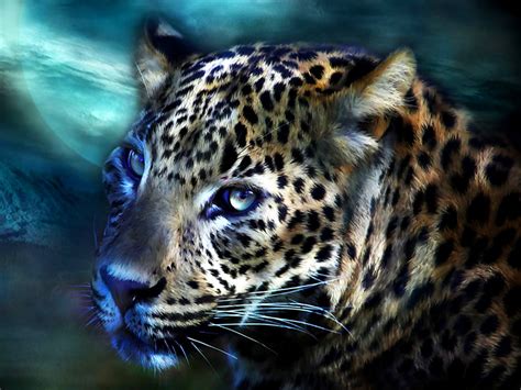 3D картинки животные (много фото) - artshots.ru