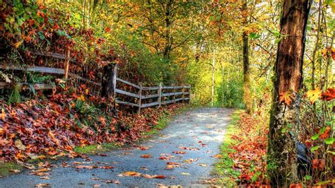 Nature Blur Wallpapers Wallpaper Cave
