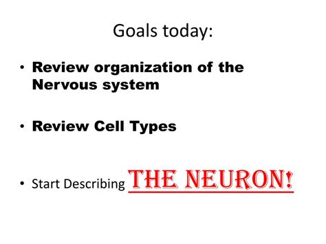 PPT This Week Monday And Tuesday Nervous System Overview