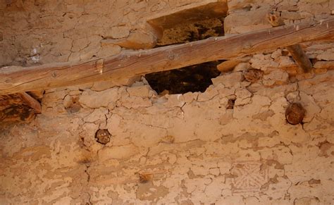 Spruce Tree House A Photo Gallery