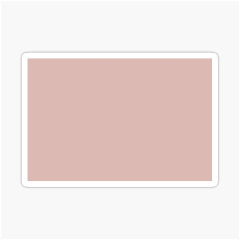 Nude Pink Silvery Pink Solid Color Popular Hues Patternless Shades Of Pink Collection Hex