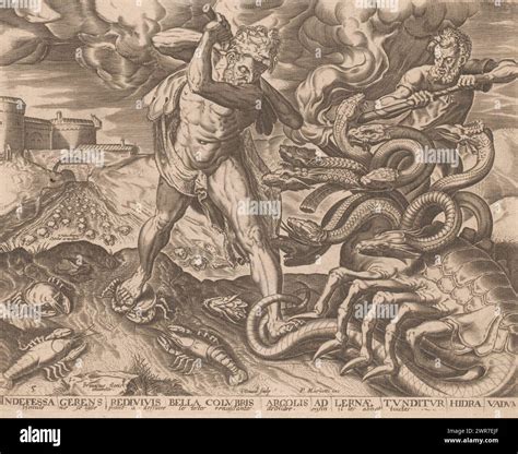 Hercules Defeats The Hydra Of Lerna Labors Of Hercules After Frans Floris Series Title